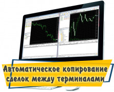 Копировщик сделок MT4 Копировщик сделок MT4