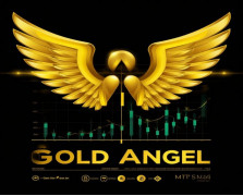 Angel Gold Angel Gold